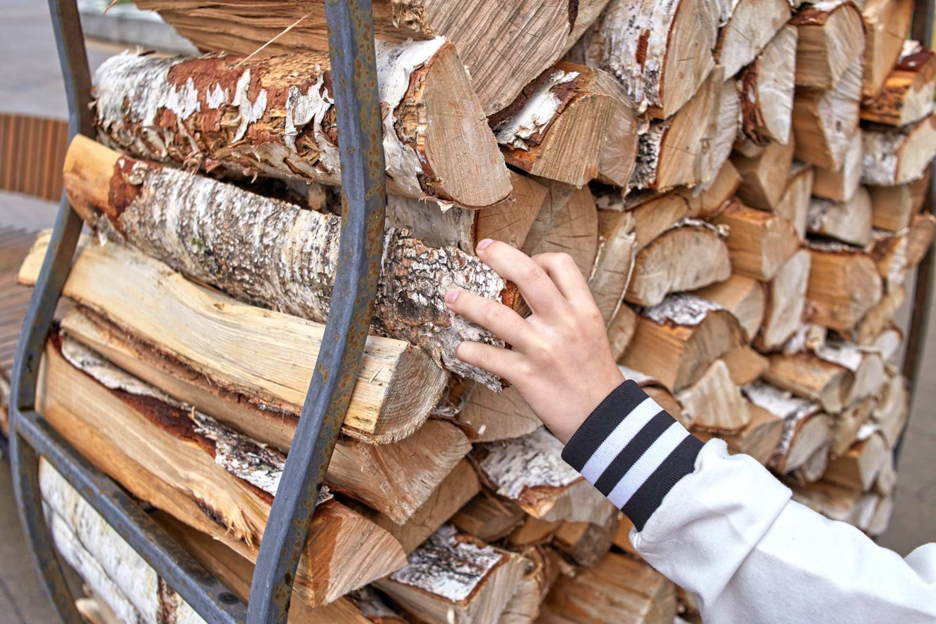 Full-range cabin maintenance services